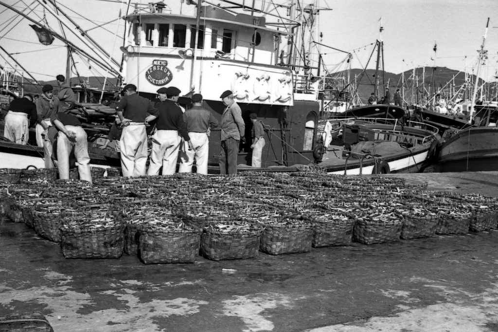 Foto Ant 3 | 5ñ Conservas - Las Mejores Anchoas | 5ñ Conservas - Las Mejores Anchoas