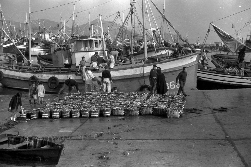 Foto ANt2 | 5ñ Conservas - Las Mejores Anchoas