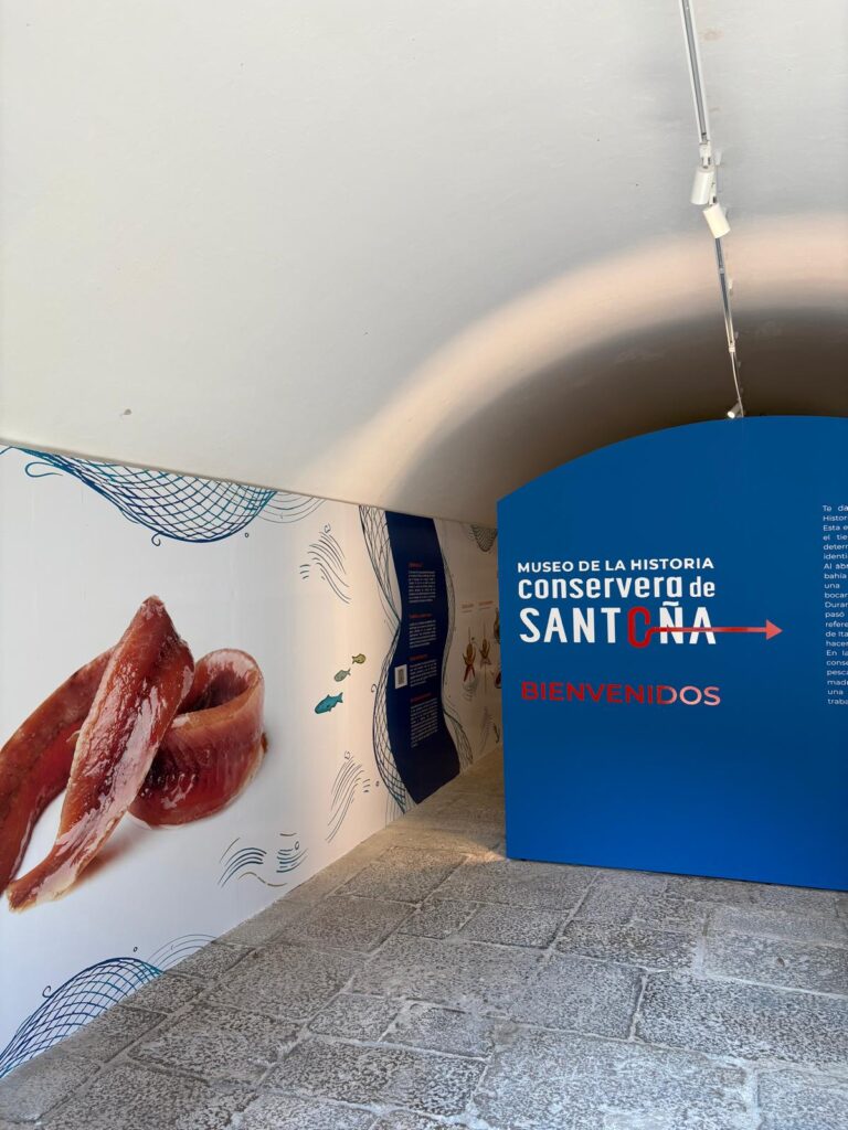 Anchoas de Santoña: Calidad y sabor a buen precio en 5Ñ Conservas